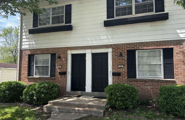 313 Russell Ave - 313 Russell Avenue, Festus, MO 63028