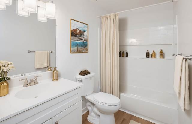Top of the Hill Apartments Gallery 4