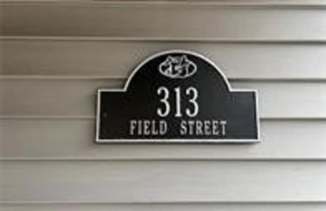 313 Field Street Gallery 3