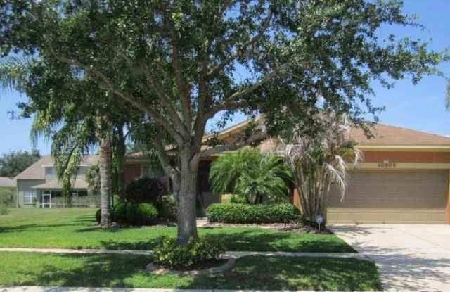 19715 Holly Cone Drive - 19715 Dolly Drive, Jacksonville, FL 32218