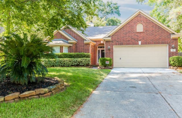 10 Leaf Spring Place - 10 Leaf Spring Place, The Woodlands, TX 77382