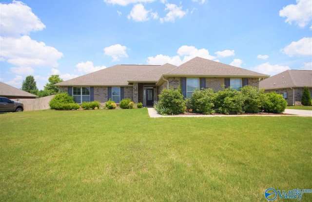 115 Swan Pond Drive - 115 Swan Pond Drive, Huntsville, AL 35824