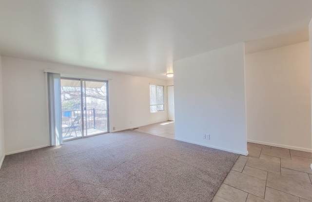 Orchard Gardens  (OG) Gallery 2