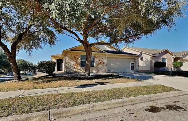 201 Hereford photos photos