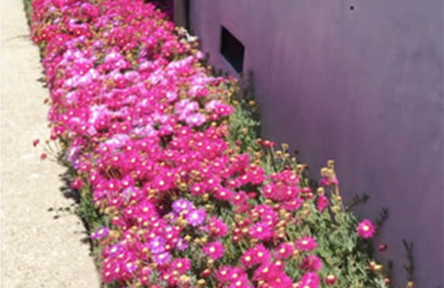 9042 Carson Street photos photos