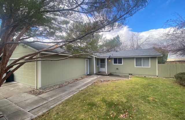 Cozy, recently updated 3 bedroom 2 bathroom home in the Steamboat Area! - 94 Zircon Drive, Washoe County, NV 89521