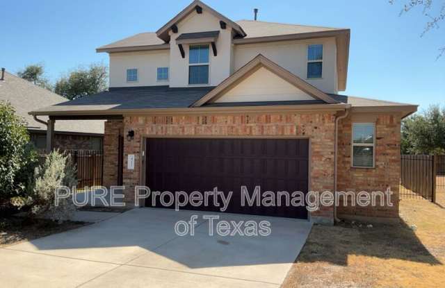 417 Cinnamon Teal photos photos
