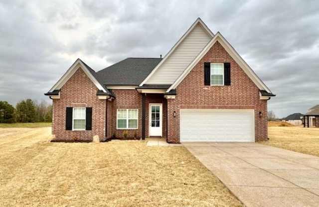20 Zinnia Cove - 20 Zinnia Cove, Somerville, TN 38068