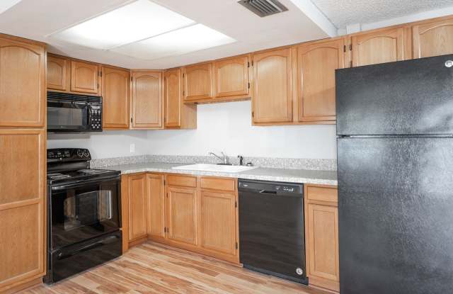 Affordable Three Bedroom in Port Richey Gallery 4