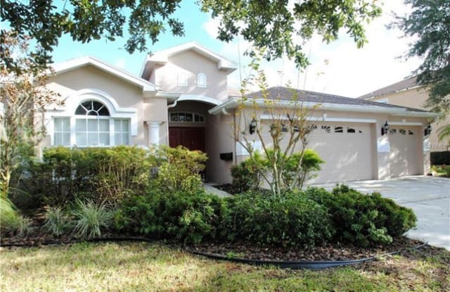 16105 Bridgedale Drive - 16105 Bridgedale Drive, Fish Hawk, FL 33547