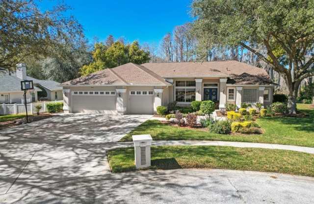 Pleasant Ridge Place 18310 - 18310 Pleasant Ridge Place, Lutz, FL 33548
