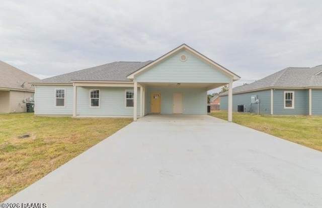 1007 Lillian Michel Drive photos photos