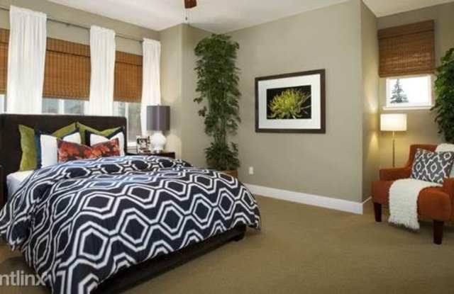 348 Amaryllis Ter Gallery 2