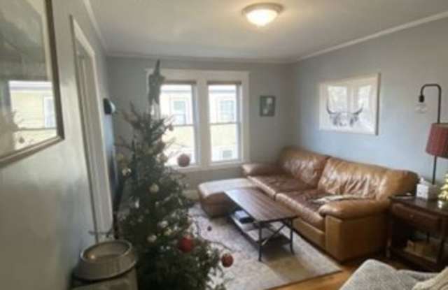 89 Lyndhurst St Gallery 4