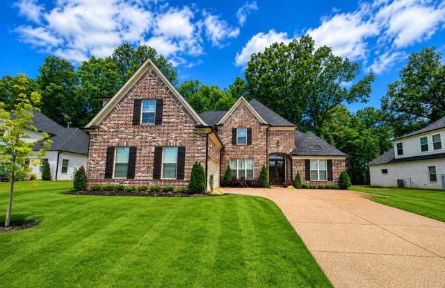 1157 MOUNTAIN SIDE Dr photos photos