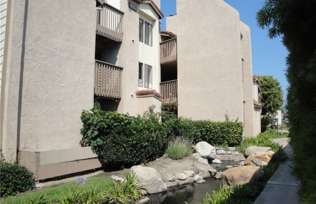 16551 Grunion Gallery 2