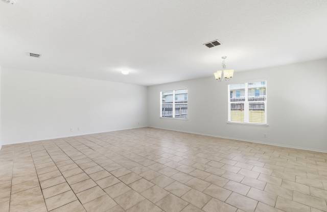 15243 Cinnamon Teal Gallery 4