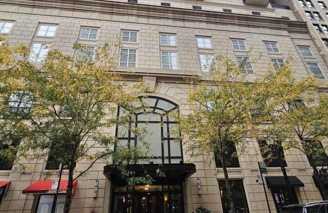 10 E Delaware Place Gallery 1