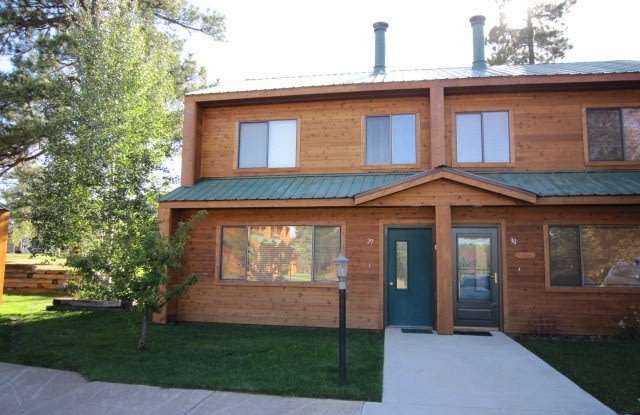 *LEASE PENDING* Remodeled Condo on Talisman Drive - 302 Talisman Drive, Archuleta County, CO 81147