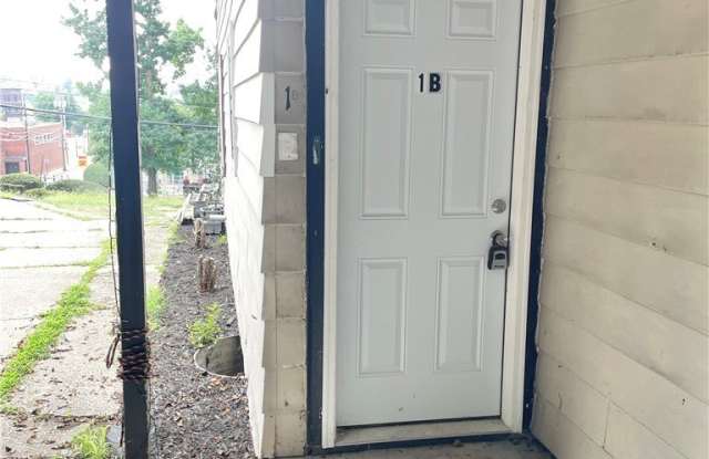 223 E Falls St Gallery 2