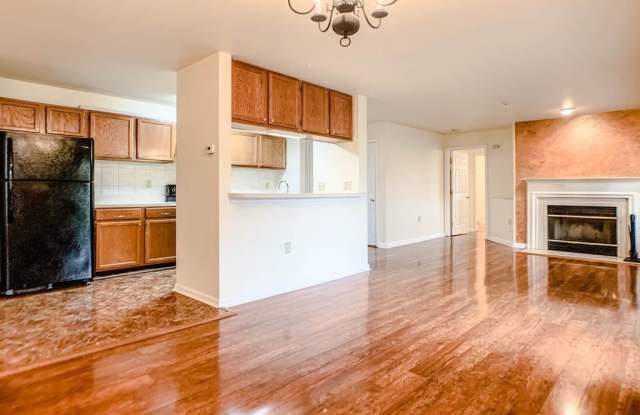 9704 Lake Point Ct 302 Gallery 4