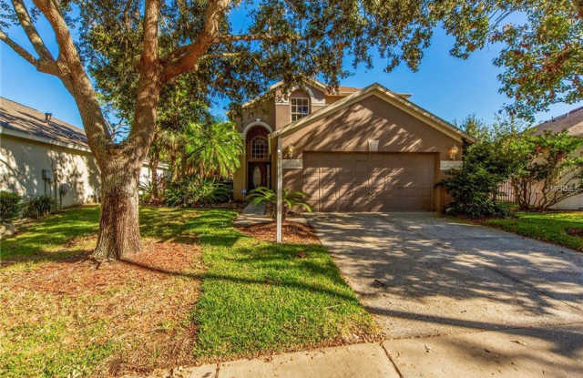 9844 Bayboro Bridge Drive - 9844 Bayboro Bridge Drive, Westchase, FL 33626