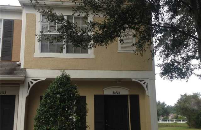 30315 LACLEDES LANE - 30315 Lacledes Ln, Wesley Chapel, FL 33543
