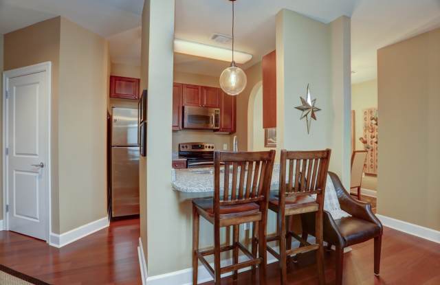 Luxurious One Bedroom Condo in Buckhead! - 325 East Paces Ferry Road Northeast, Atlanta, GA 30305