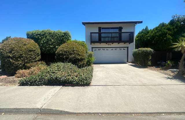 312 De Vega Ct - 312 De Vega Court, Modesto, CA 95354