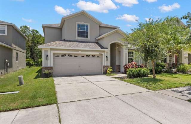 20405 AUTUMN FERN Avenue - 20405 Autumn Fern Avenue, Pebble Creek, FL 33647
