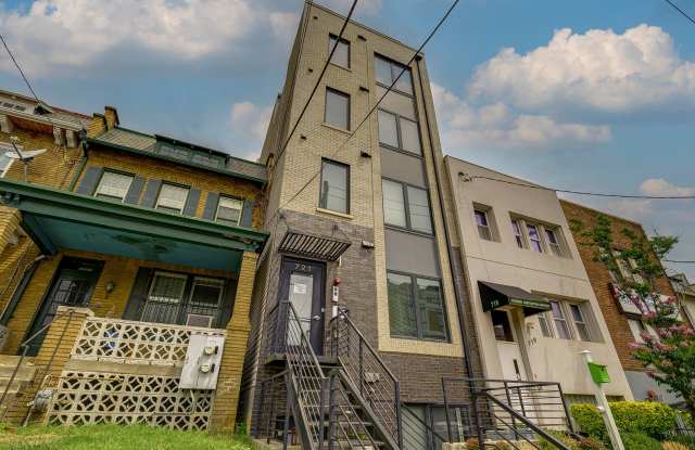 Modern Luxury 1BR/1BA in Petworth - UTILITIES INCLUDED! photos photos