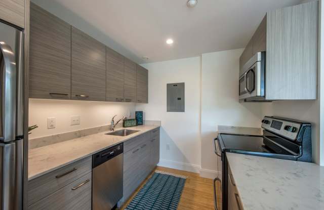 Modern 2BD+2BA Allston @ BU & Packard's Corner Gallery 3
