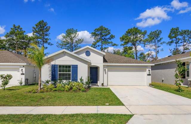 Charming 4-Bedroom, 2-Bath Rental on Large Lot in Peaceful Osteen photos photos
