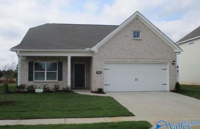 13031 NW Lantern Pointe Way - 13031 Lantern Pointe Way, Limestone County, AL 35749