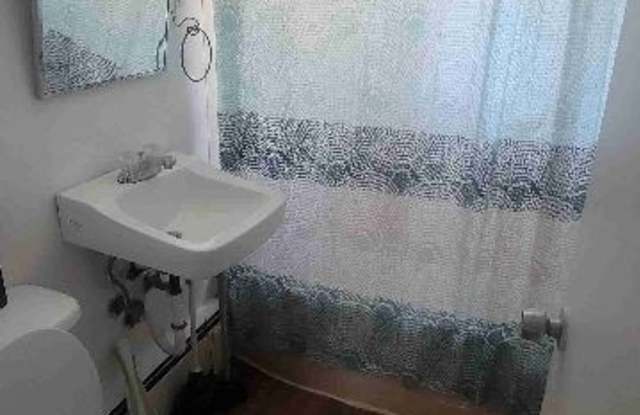 52 lincoln place 5 - 52 Lincoln Place, Liberty, NY 12754