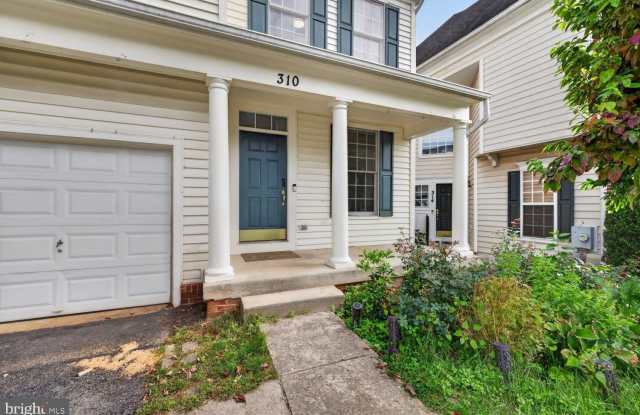 310 SWANTON Lane Gallery 3