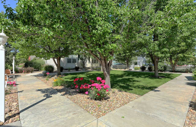 3 Bedroom 2 Bath Home in Loveland Gallery 3