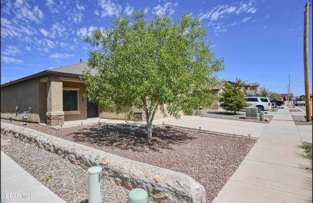 14945 LOUIS BAUDOIN photos photos