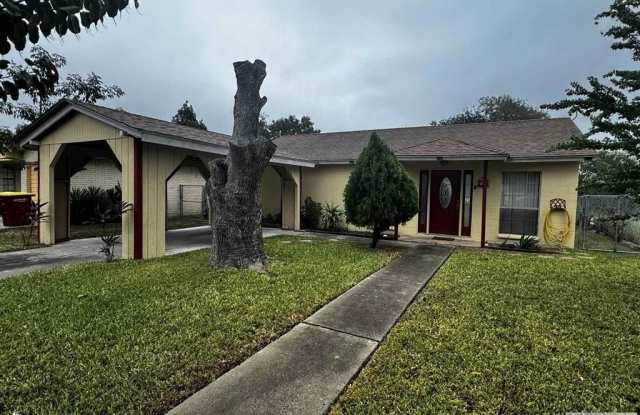 48 CALLE CHIQUITA - 48 Calle Chiquita, Brownsville, TX 78521