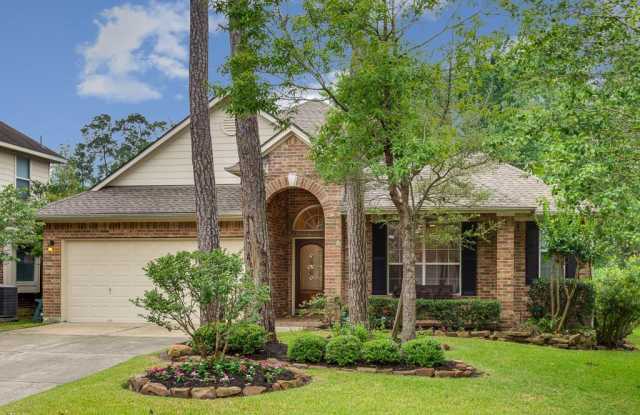 14 Heron Hollow Court - 14 Heron Hollow Court, The Woodlands, TX 77382