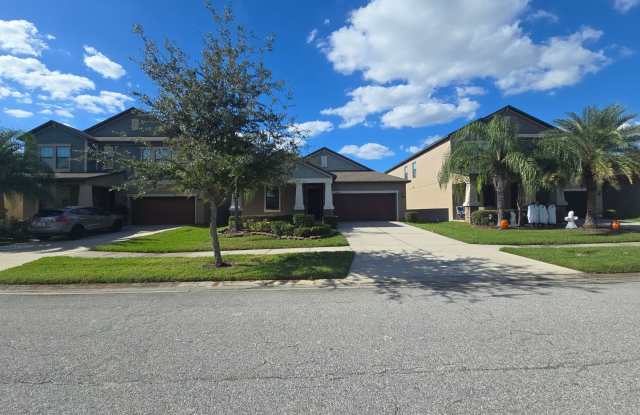 GORGEOUS 4-Bedroom, 3-Bathroom in Riverview Gallery 3