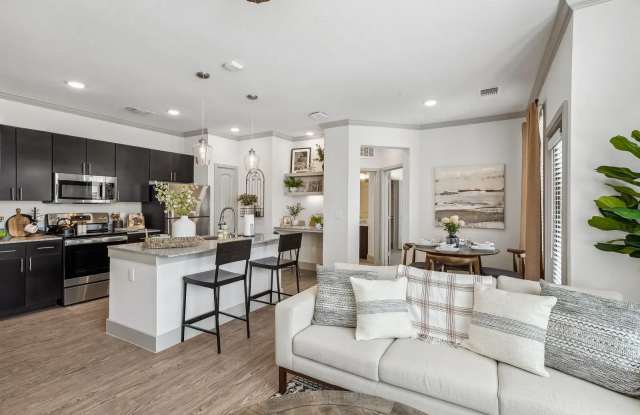 Paloma Luxury Apartments Gallery 4