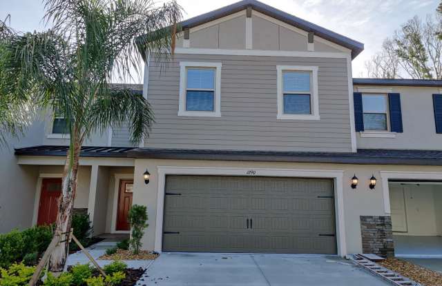 1290 White Fox Run Lutz, FL 33549 photos photos