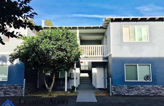 24381 Chestnut Street photos photos