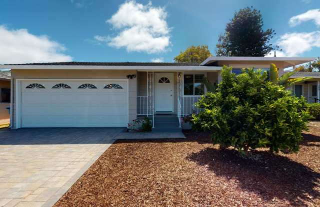 Updated 3 bedroom home, backyard, washer/dryer, great location! photos photos