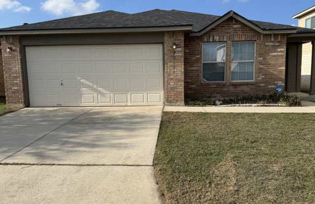 25715 Gold Yarrow photos photos