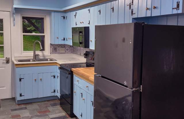 Newly Renovated 4-Bedroom Retreat on 12 Secluded Acres with Stream and Trails in Kintnersville! photos photos