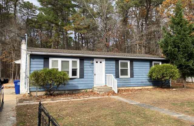 703 S BRYNWOOD Drive - 703 Brynwood Bogs Drive, Browns Mills, NJ 08015