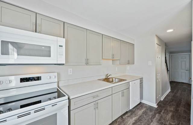 Village of Carrollwood photos photos
