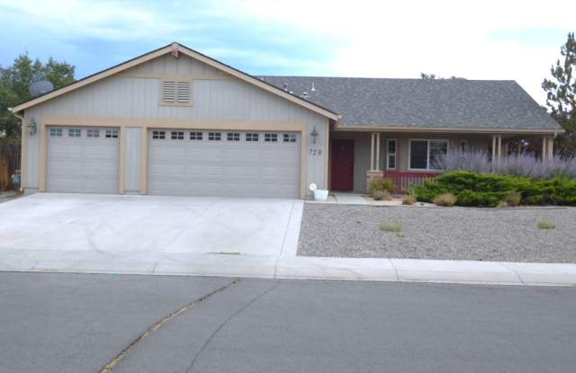 Large Home on large lot in Dayton Nevada - 729 Clydesdale Road, Lyon County, NV 89403